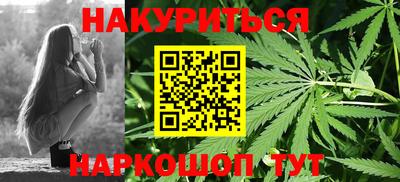 mdpv Краснознаменск