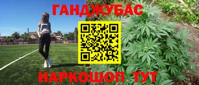mdpv Краснознаменск