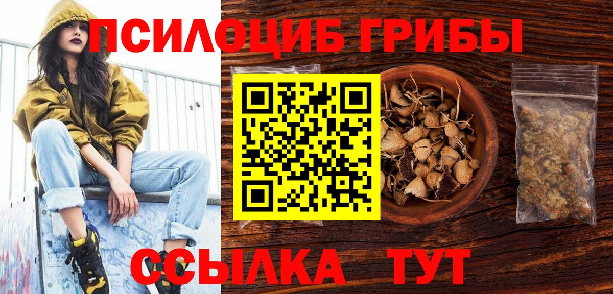 Егорьевск  Галлюциногенные грибы Psilocybine cubensis  Псилоцибиновые грибы Psilocybe  Вход с VPN 